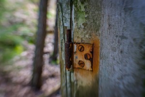 Rusty window hinges