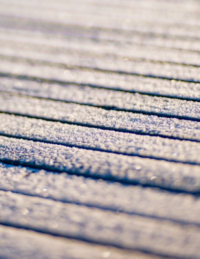 Winter sun and frost (foto: Birgit Fostervold)
