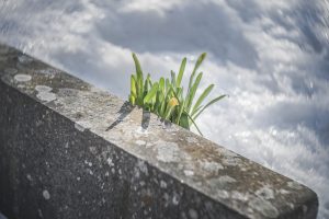 Easter reflections (photo: Birgit Fostervold)
