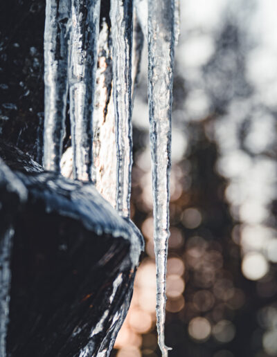 Frost og kulde i Froland